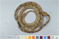 藏品(大頭蛇)的圖片